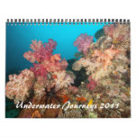 Underwater Journeys 2011 Wall Calendars
