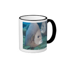 Underwater Life, FISH:  a pair of Gray Angelfish Coffee Mug