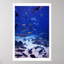 Underwater Magic Print