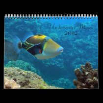 Underwater Maui calendars