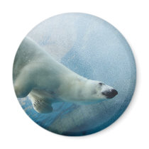 Underwater photo of a Polar Bear Refrigerator Magnet
