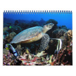 Underwater Photos 2012 Calendar