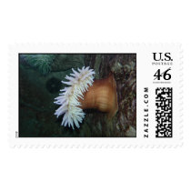 Underwater plant. stamps