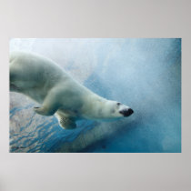 Underwater Polar Bear Posters