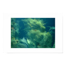 underwater posters by colenewberry underwater posters