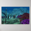 underwater posters