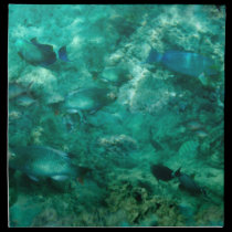 Underwater Scene napkins