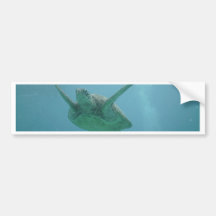 Underwater Sea Turtle Bumper Stickers