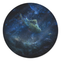 Underwater Stickers