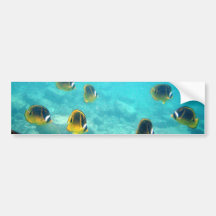 Underwater Tropical Fish Bumper Stickers