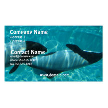 Underwater Whale Business Card