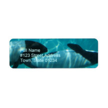 Underwater Whale Return Address Label