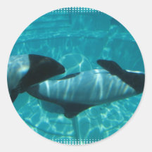 Underwater Whales Sticker