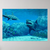 great, white, shark, leopard, angel, fish, wild, sea, ocean, saltwater, freshwater, species, underwater, group, together, beautiful, blue, clear, coral, escape, exploration, marine, motion, move, reef, sandy, school, life, swim, tropical, water, organism, background, Poster with custom graphic design