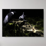 UnderWonder Print