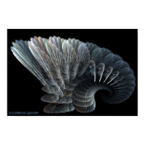 UNDISCOVERED (Sea Life) posters by CoolBreezeLady UNDISCOVERED (Sea Life) posters