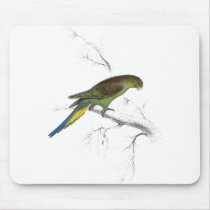 Undulated Parrakeet by Edward Lear) Mousepads