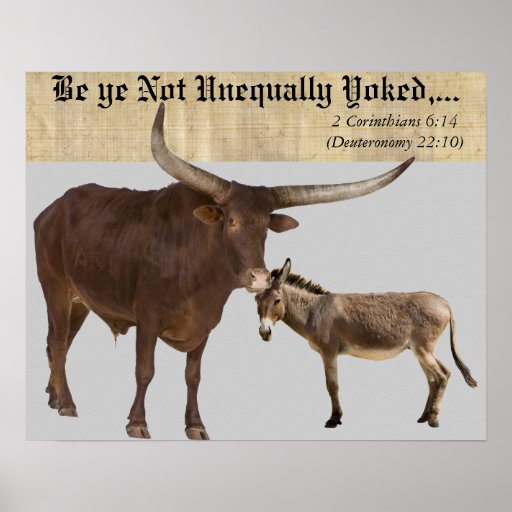 Unequally Yoked. V Posters Zazzle
