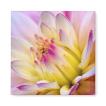 Unfolding Flower magnets