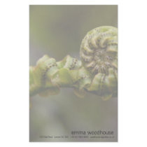 Unfurling Fern Frond DSC8151 stationery