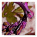 Unfurling posters by swtiff Unfurling posters