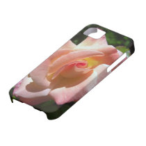 Unfurling Rose iPhone Case iPhone 5 Case