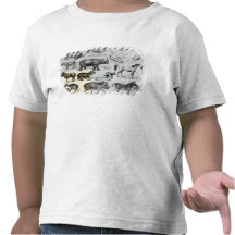 Ungulata or Hoofed Animals T-shirts