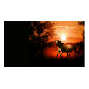Unicorn business cards