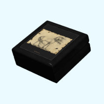 Unicorn gift boxes