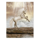 Unicorn Magical Beauty Postcard postcards