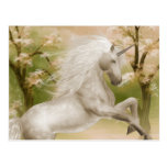 Unicorn Magical Beauty Postcard