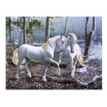 Unicorn Reuion Postcard