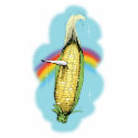 Unicorn t-shirts