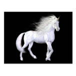 Unicorn White Beauty Postcard postcards