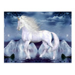 Unicorn White Beauty Postcard