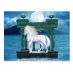 Unicorn White Beauty Postcard
