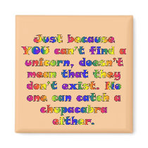 Unicorns magnets
