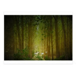 Unicorns Postcard