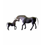 Unicorns