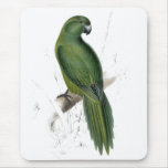 Uniform Parrakeet by Edward Lear Mousemats