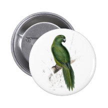 Uniform Parrakeet by Edward Lear Pin