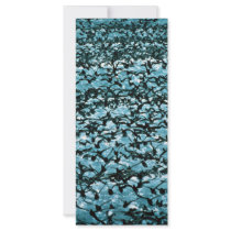 Unimak Pass Shearwater flock Full Color Rack Card