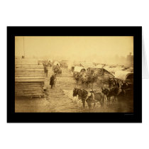 Union Forces Camp at Centreville 1861 cards by lc_civilwar Union Forces Camp at Centreville 1861 cards