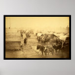 Union Forces Camp at Centreville 1861 posters