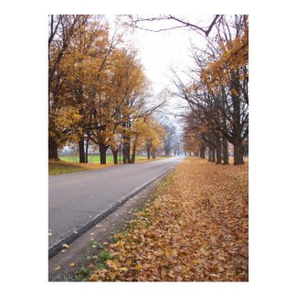 Union Plains 2 print