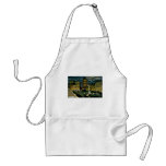 Union Square by Night, San Francisco, Cal. ~ 1910 aprons
