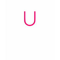 union tee shirts
