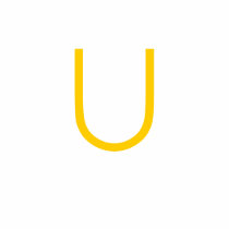 union t-shirt