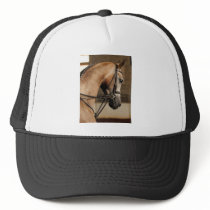 Unique beauty mesh hats
