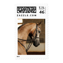 Unique beauty postage stamp